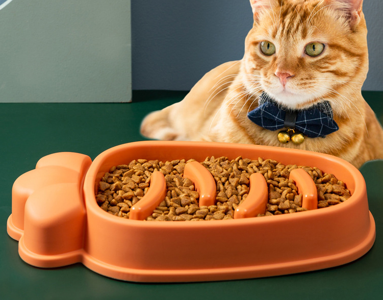 Slow Feed Dog Bowl — Anti-Choke Design for Large Dogs