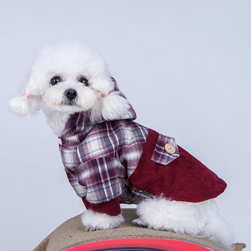 Teddy VIP Small Dog Cashmere Coat
