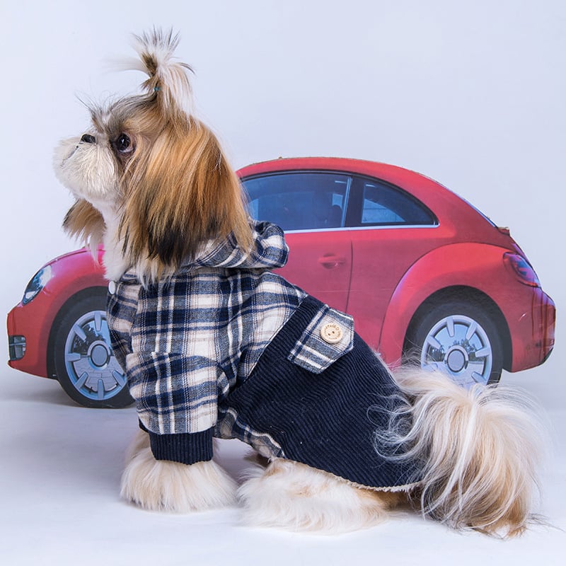 Teddy VIP Small Dog Cashmere Coat